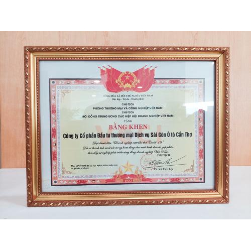 VIII. Giấy chứng nhận, bằng khen